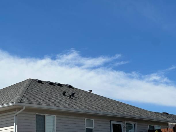 Best Metal Roofing Installation  in Cleveland, FL